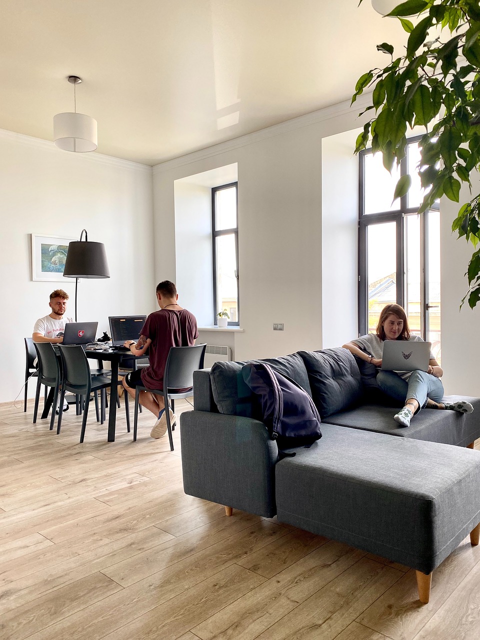 Co Sharing Apartments